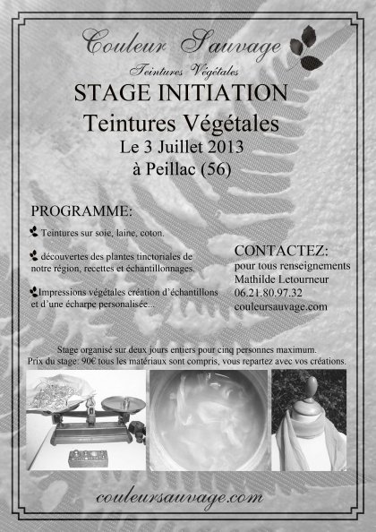affiche stage2013 plantes locales